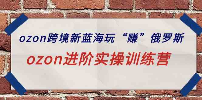 (9800期)ozon跨境新蓝海玩“赚”俄罗斯,ozon进阶实操训练营-视觉 - 全网资源整合平台 | 网赚教程 项目分享 写真集 软件下载