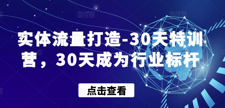 实体流量打造-30天特训营,30天成为行业标杆-视觉 - 全网资源整合平台 | 网赚教程 项目分享 写真集 软件下载