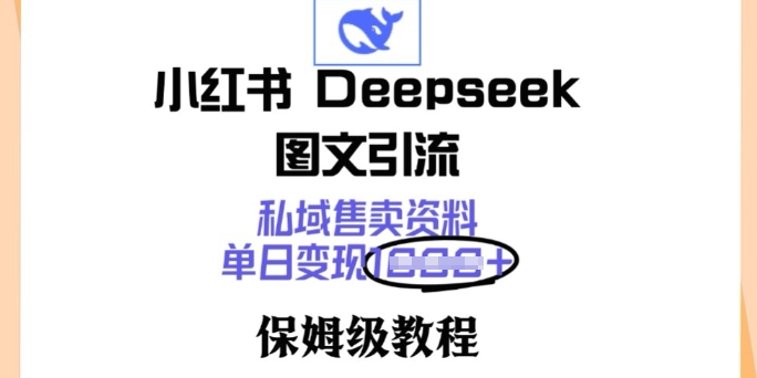 小红书Deepseek图文引流，私域售卖资料，单日变现多张，保姆级教程-视觉 - 全网资源整合平台 | 网赚教程 项目分享 写真集 软件下载