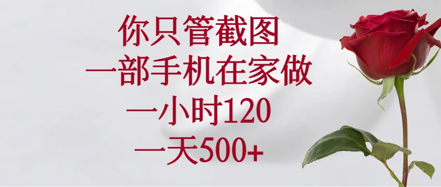 （14248期）你只管截图，一部手机在家做，一小时120，一天500+-视觉 - 全网资源整合平台 | 网赚教程 项目分享 写真集 软件下载