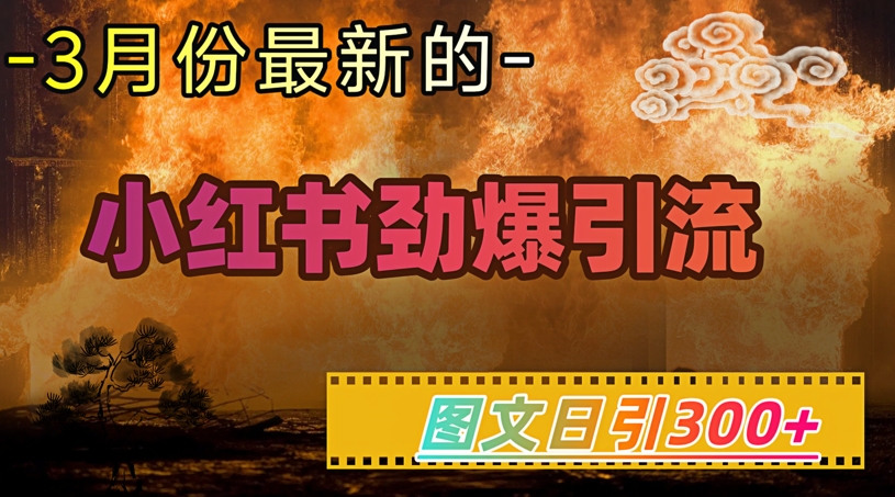 小红书超劲爆引流手段，图文日引300+轻松变现1W-视觉 - 全网资源整合平台 | 网赚教程 项目分享 写真集 软件下载