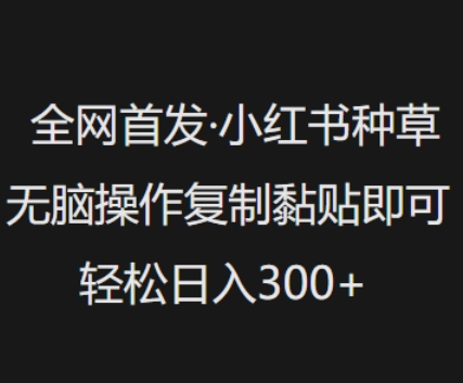全网首发，小红书种草无脑操作，复制黏贴即可，轻松日入3张-视觉 - 全网资源整合平台 | 网赚教程 项目分享 写真集 软件下载