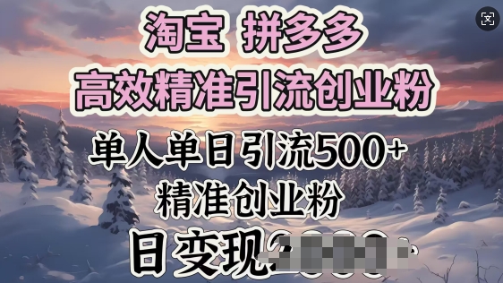 淘宝拼多多高效精准引流创业粉，单人单日引流500+创业粉，日变现多张-视觉 - 全网资源整合平台 | 网赚教程 项目分享 写真集 软件下载