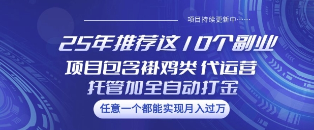 25年推荐这10个副业项目包含褂鸡类、代运营托管类、全自动打金类【揭秘】-视觉 - 全网资源整合平台 | 网赚教程 项目分享 写真集 软件下载