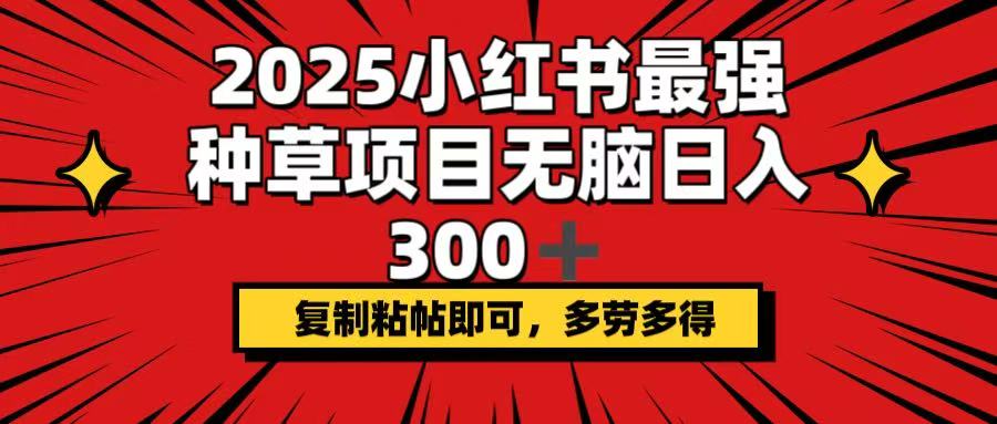 （14375期）2025小红书最强种草项目，无脑日入300+，复制粘帖即可，多劳多得-视觉 - 全网资源整合平台 | 网赚教程 项目分享 写真集 软件下载