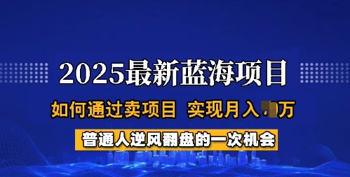 2025蓝海项目，普通人如何通过卖项目，实现月入过W，全过程【揭秘】-视觉 - 全网资源整合平台 | 网赚教程 项目分享 写真集 软件下载