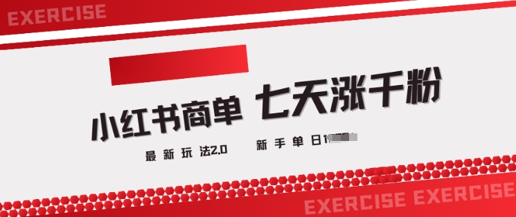 小红书商单2.0最新玩法，3天涨千粉单日变现多张-视觉 - 全网资源整合平台 | 网赚教程 项目分享 写真集 软件下载