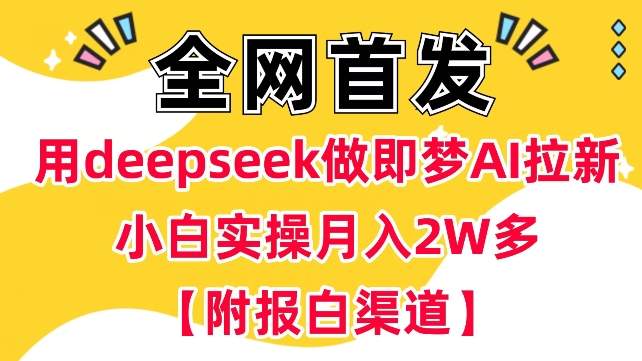用deepseek做即梦Ai拉新 小白实操月入过W+【附报白渠道】-视觉 - 全网资源整合平台 | 网赚教程 项目分享 写真集 软件下载
