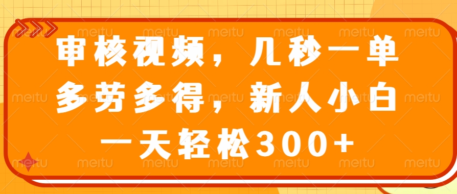 （14294期）审核视频，几秒一单，多劳多得，新人小白一天轻松300+-视觉 - 全网资源整合平台 | 网赚教程 项目分享 写真集 软件下载