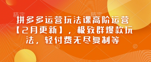 拼多多运营玩法课高阶运营【2月更新】，极致群爆款玩法，轻付费无尽复制等-视觉 - 全网资源整合平台 | 网赚教程 项目分享 写真集 软件下载