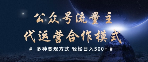 公众号流量主代运营  多种变现方式 轻松日入5张【揭秘】-视觉 - 全网资源整合平台 | 网赚教程 项目分享 写真集 软件下载